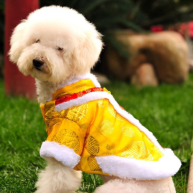 Katze Hund Mäntel Pullover Stickerei Modisch Neujahr Draussen Winter