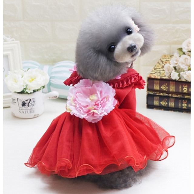 roupa de daminha para cachorro