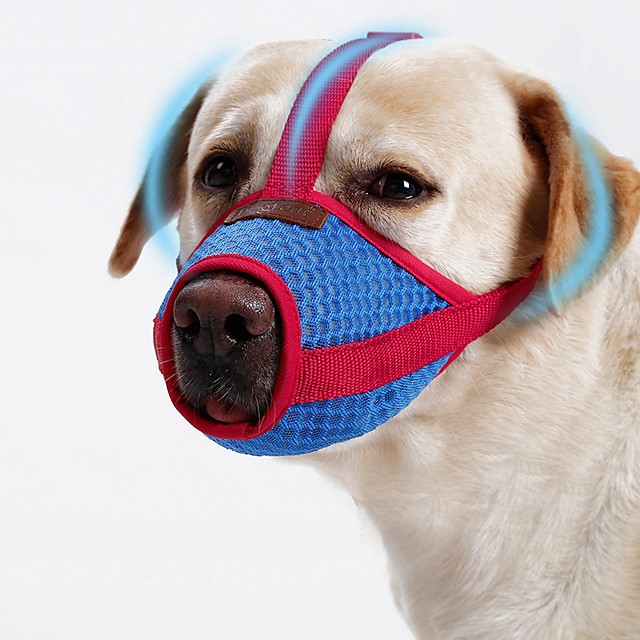 shih tzu muzzle size