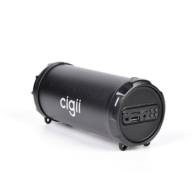 cigii speaker