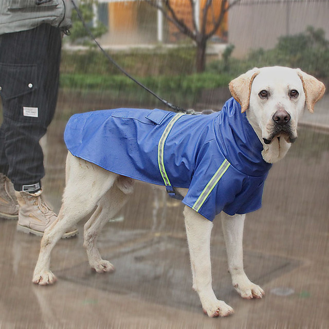 Hunde Regenmantel Welpenkleidung Solide Einzigartiges Design