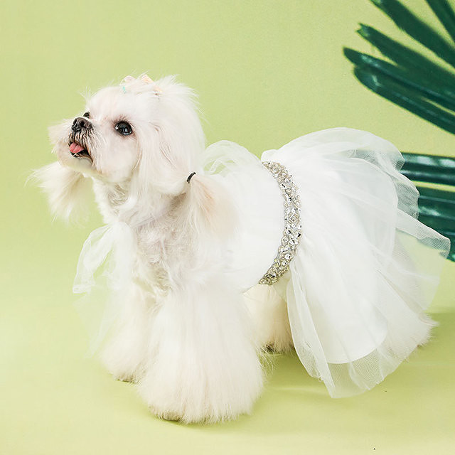 Hund Kleider Hochzeit Hundekleidung Welpenkleidung HundeOutfits Kostüm