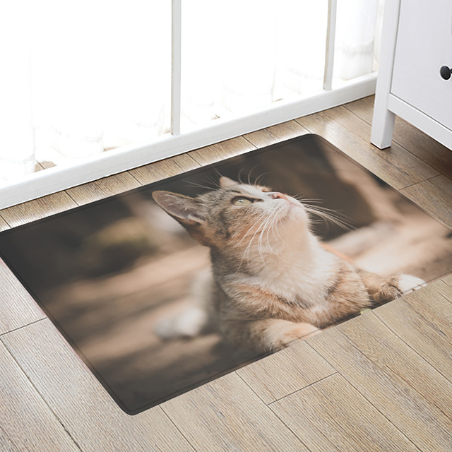 kleine Katze, die zum Himmel aufschaut Digitaldruck Bodenmatte moderne