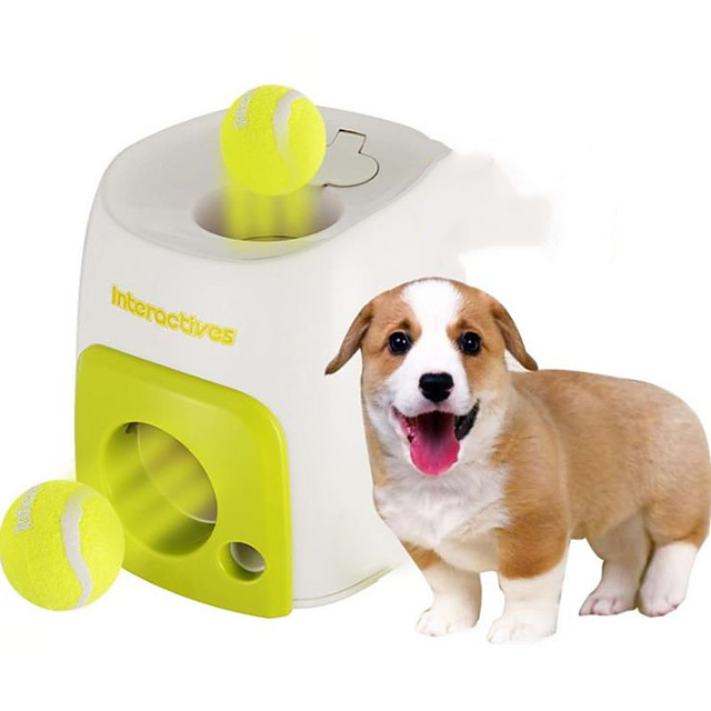 Jouet interactif Chien 1 jeu Exercice pour animaux de