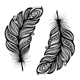 Feathers