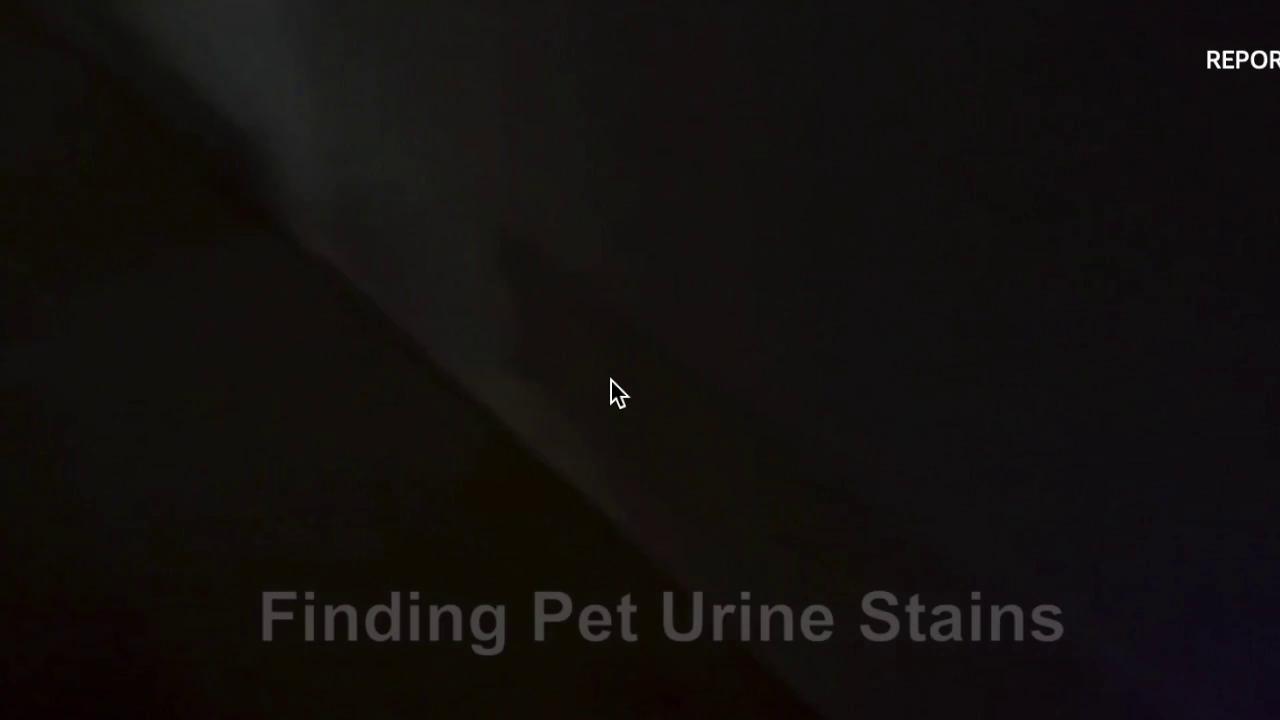 play video