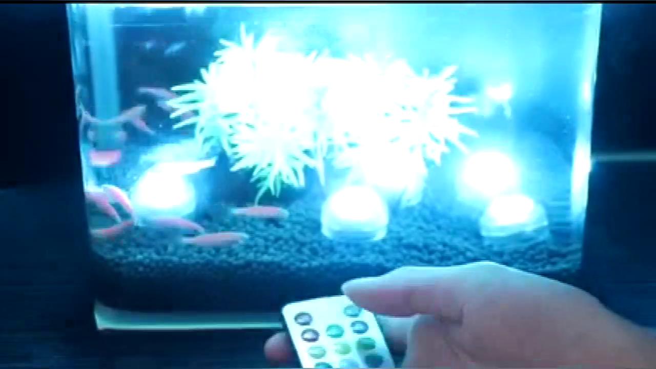 play video