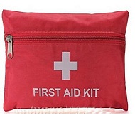 Emergencia y Supervivencia