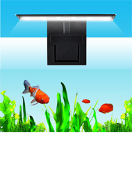 Iluminação de Aquário