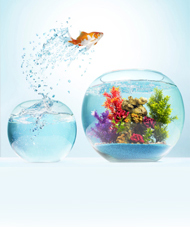 Acessórios para Aquários & P...